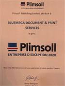 Plimsoll