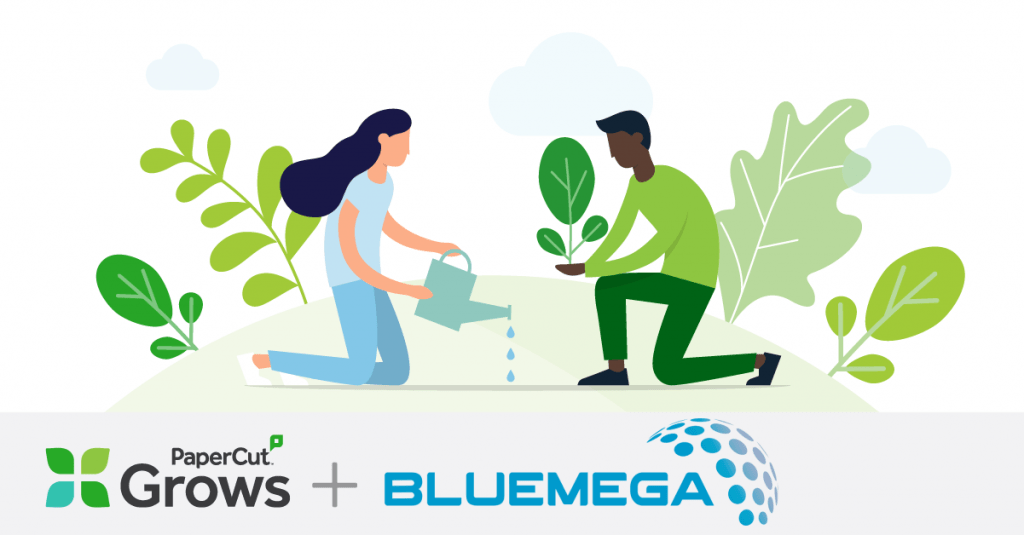 bluemega s'associe àç Forest Positive - papercut grows