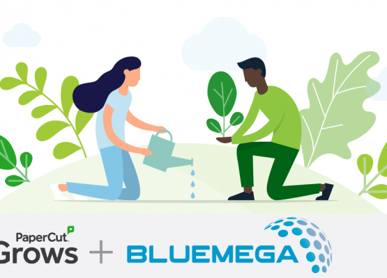 Bluemega s’associe à Forest Positive avec PaperCut Grows