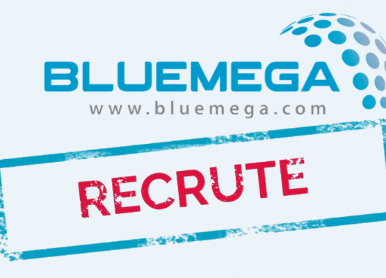 Bluemega recherche un(e) technicien(ne) support